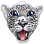 :wwf1:7